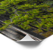 Wald- und Bergwelt Poster (Ecke)