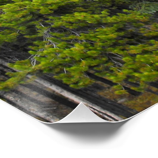 Wald- und Bergwelt Poster (Ecke)