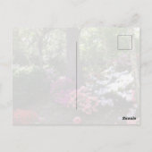 Wald- und Blumenpostkarte Postkarte (Rückseite)