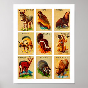 Wald und Dschungel Tiere Natur Naturerlebnis Kunst Poster