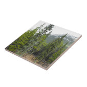 Wald-und Gebirgsszenen-Foto-Fliese Fliese (Seite)