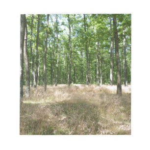 Wald und Grasflächen im Herbst Notizblock