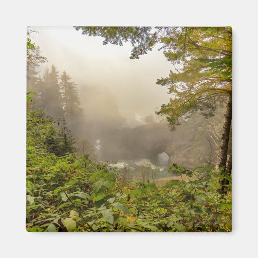 Wald- und Ozeanlandschaft Magnet (Vorne)