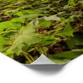 Wald- und Ozeanlandschaft Poster (Ecke)