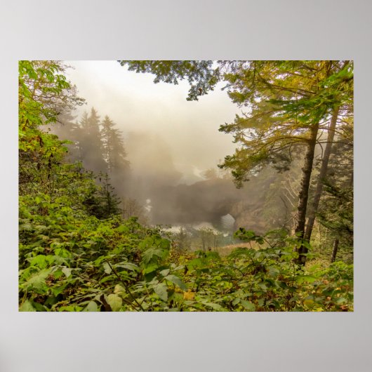 Wald- und Ozeanlandschaft Poster (Vorne)