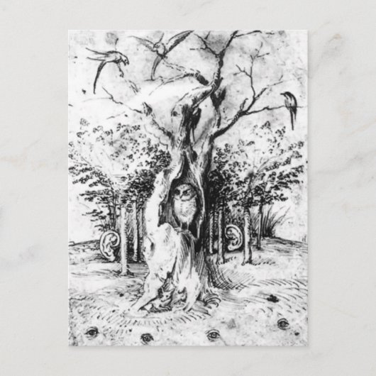 Wald- und Seefeld von Hieronymus Bosch Postkarte (Vorderseite)