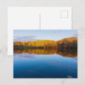 Wald und Sonnenaufgang im Marthaler Park Postkarte (Vorne/Hinten)