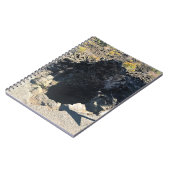 Wald von Lava, Oregon Notizblock (Linke Seite)
