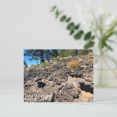 Wald von Lava, Oregon Postkarte (Stehend Vorderseite)