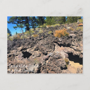 Wald von Lava, Oregon Postkarte