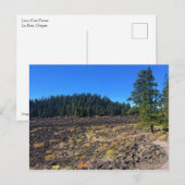 Wald von Lava, Oregon Postkarte (Vorne/Hinten)