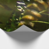 Wald von Palmen Bäumen tropischen Grün Holzposter (Ecke)