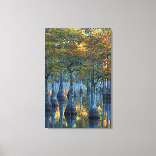 Wald von Pond Cypress Trees Leinwanddruck (Vorderseite)