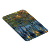 Wald von Pond Cypress Trees Magnet (Rechte Seite)