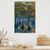 Wald von Pond Cypress Trees Poster (Küche)