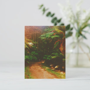 Wald Wakawakareva (Die Redwoods), Rotorua, NZ RSVP Karte