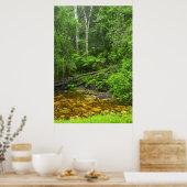 Wald, Wald Knysna-Amatole, Montanwald Poster (Küche)