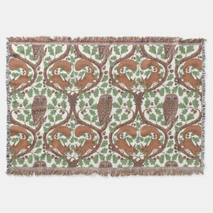 Wald-Whispers/Eichhörnchen und Eichhörnchen in der Decke