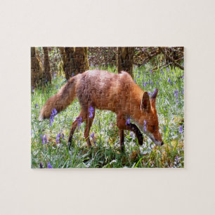 Wald Wildtiere Rotfuchs Blaue Glockenblume Blumen  Puzzle