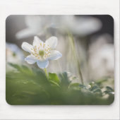 Waldanemone Nature Foto Mousepad (Vorne)
