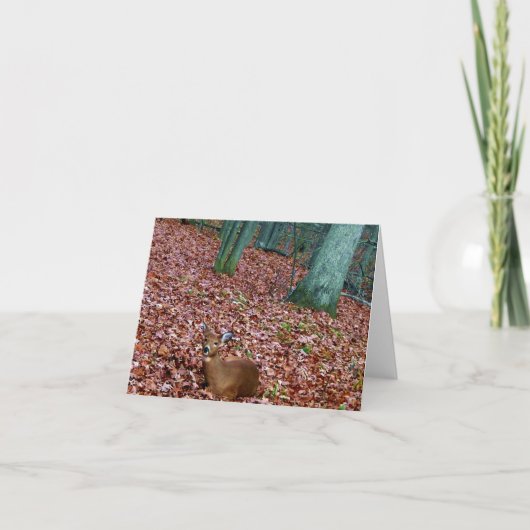 Waldanmerkungs-Karten-Damhirschkuh ein Rotwild Karte (Vorderseite)