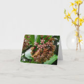 Waldanmerkungs-Karten-WildblumeMilkweed Karte (Gelbe Blume)