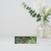 Waldbach 2 mini visitenkarte (Stehend Vorderseite)