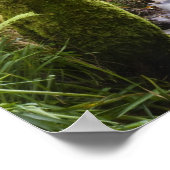 Waldbach im Lake District Poster (Ecke)