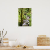 Waldbach im Lake District Poster (Küche)