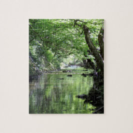 Waldbach puzzle
