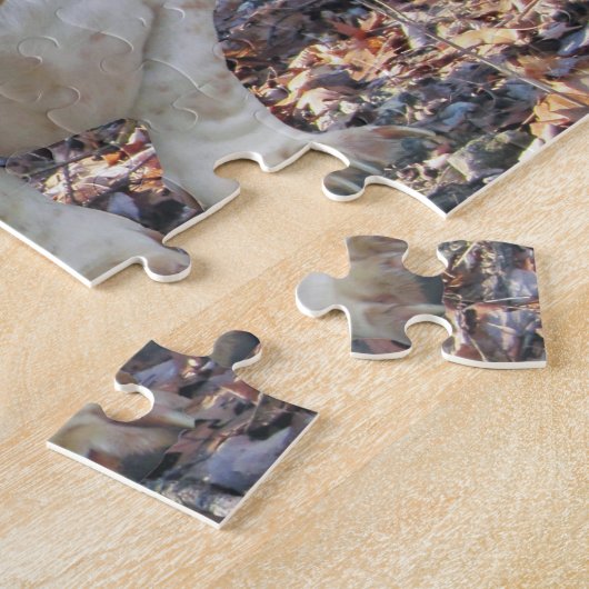 WaldBasset Puzzle (Seite)