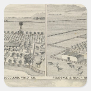 Waldbauholzfirma Quadratischer Aufkleber