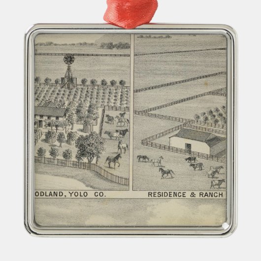 Waldbauholzfirma Silbernes Ornament (Vorne)