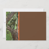 Waldbaum-Abschluss Einladung (Rückseite)