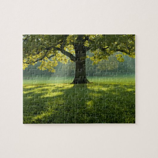 Waldbaum Landschaft Natur Wildnis Puzzle (Horizontal)