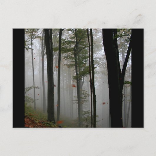 WALDBÄUME DER EERIE BLÄTTER VOLLE HERBSTFARBEN POSTKARTE (Vorderseite)