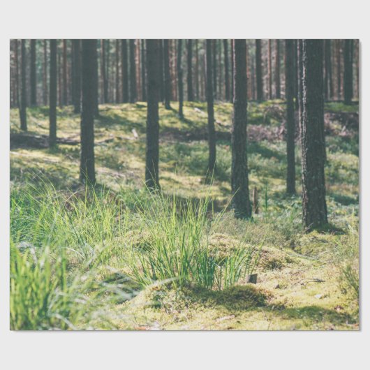 Waldbäume. Grünes, grünes Holzsonnenlicht im Hinte Geschenkpapier (Flach)