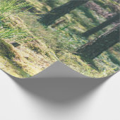 Waldbäume. Grünes, grünes Holzsonnenlicht im Hinte Geschenkpapier (Ecke)