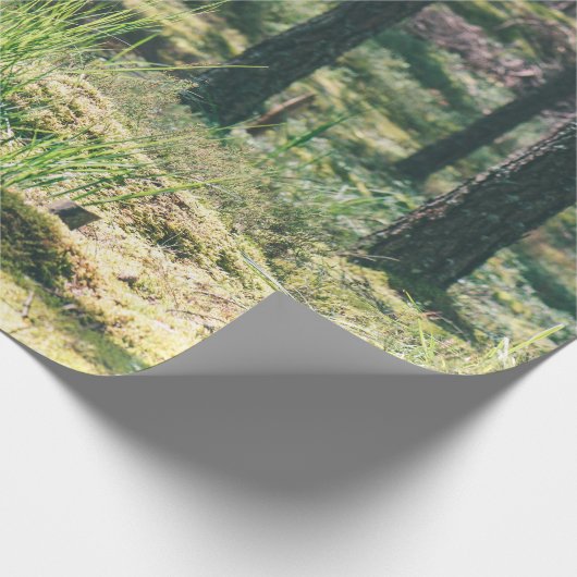 Waldbäume. Grünes, grünes Holzsonnenlicht im Hinte Geschenkpapier (Ecke)