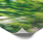 Waldbäume. Grünes, grünes Holzsonnenlicht im Hinte Poster (Ecke)