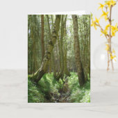 Waldbäume - Grußkarten Karte (Gelbe Blume)