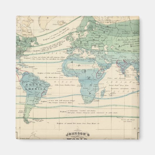 Waldbäume, nützliche Pflanze und Mineralien Magnet (Vorne)