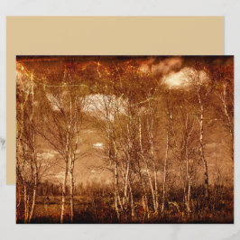 Waldbäume Vintag Grunge Rustikale Texturwolken