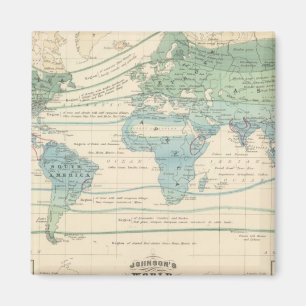 Waldbäume, wertvolle Pflanze und Mineralien Magnet