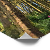 Waldbaumen Poster (Ecke)