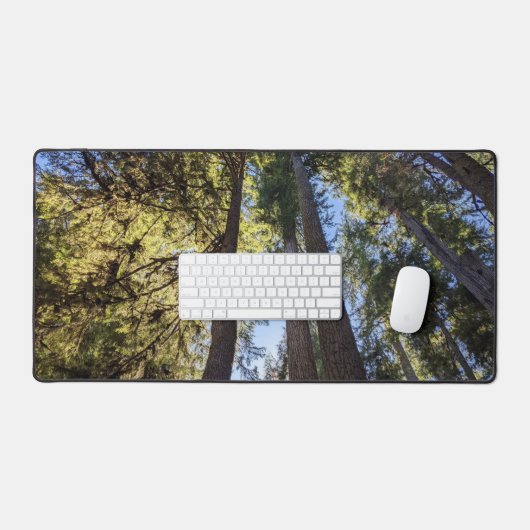 Waldbaumlandschaft Schreibtischunterlage (Tastatur & Maus)
