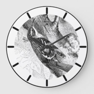 Waldbaumläufer Britischer Vogel Große Uhr
