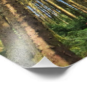 Waldbaumposter Fotodruck (Ecke)