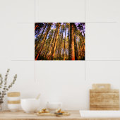 Waldbaumposter Poster (Küche)