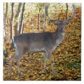 Waldbewohner Fliese (Vorderseite)